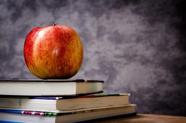Educador Junta de Andalucía