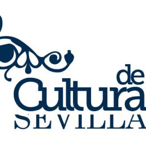 Oposiciones Técnico cultura Diputacion Sevilla