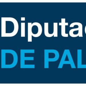 Tecnico medio diputacion Palencia