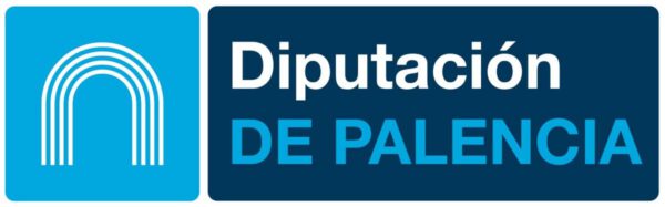 Tecnico medio diputacion Palencia