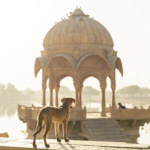 Técnico medio de turismo San Vicente del Raspeig