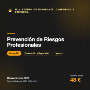 Prevención de Riesgos Profesionales M1 · Economía
