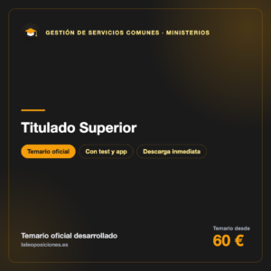 Titulado Superior Gestión Servicios Comunes Ministerios