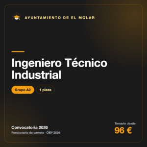 Ingeniero Técnico Industrial A2 · El Molar